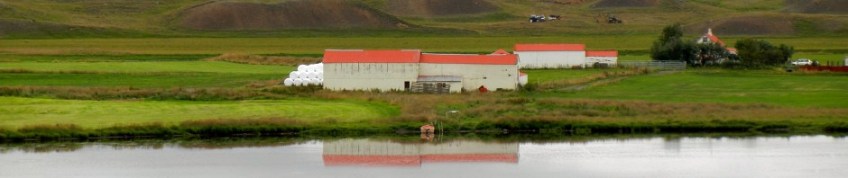 Near Vatnsdalshólar, Iceland