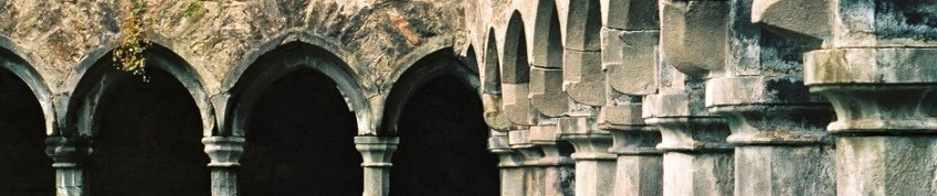 Sligo Priory, Ireland