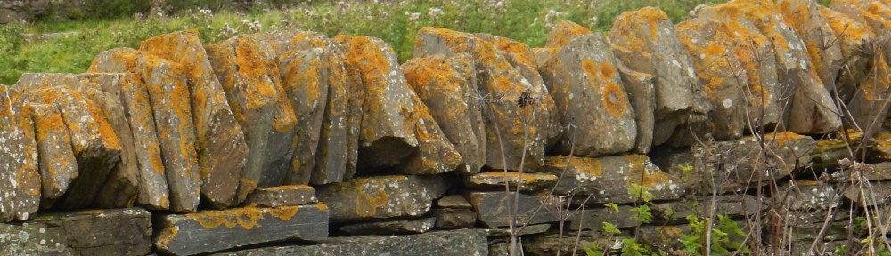 Skaell House, Orkney