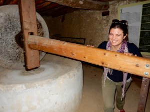Olive-oil mill, Büyükkonuk