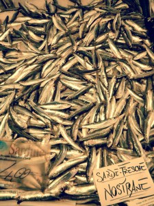 Sardines
