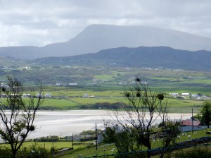 Donegal