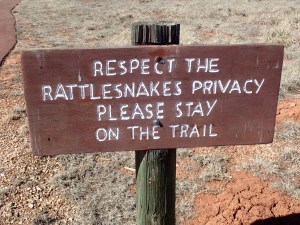 Petroglyph National Monument