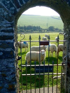 Church of Saint Rhwydrus, Wales