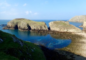 Ynys y Fydlyn, Wales