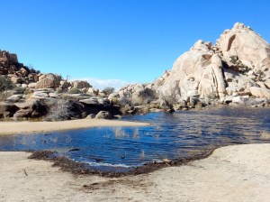 Barker Dam, Joshua Tree National Park CA