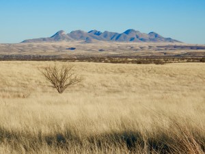 Near Sonoita AZ