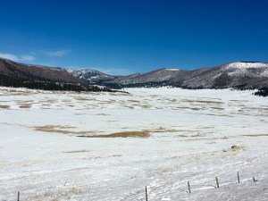 Valle Grande, Valles Caldera National Preserve NM