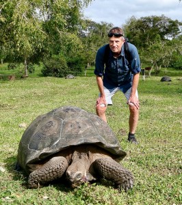 Giant Tortoise, Galápagos