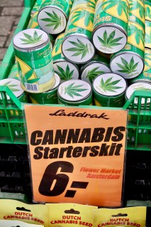 Bloemenmarkt, Amsterdam NL