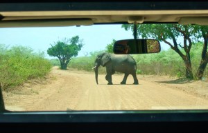 Mahango Game Reserve, Namibia