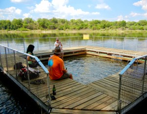 Swimming Pool, Ngepi Camp, Namibia