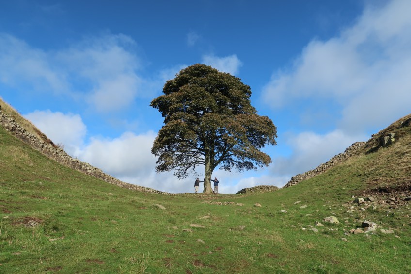 Sycamore Gap, Hadrian’s Wall UK