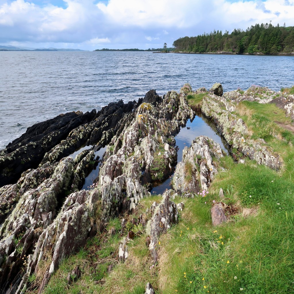 Kerry Way IE, May 2022