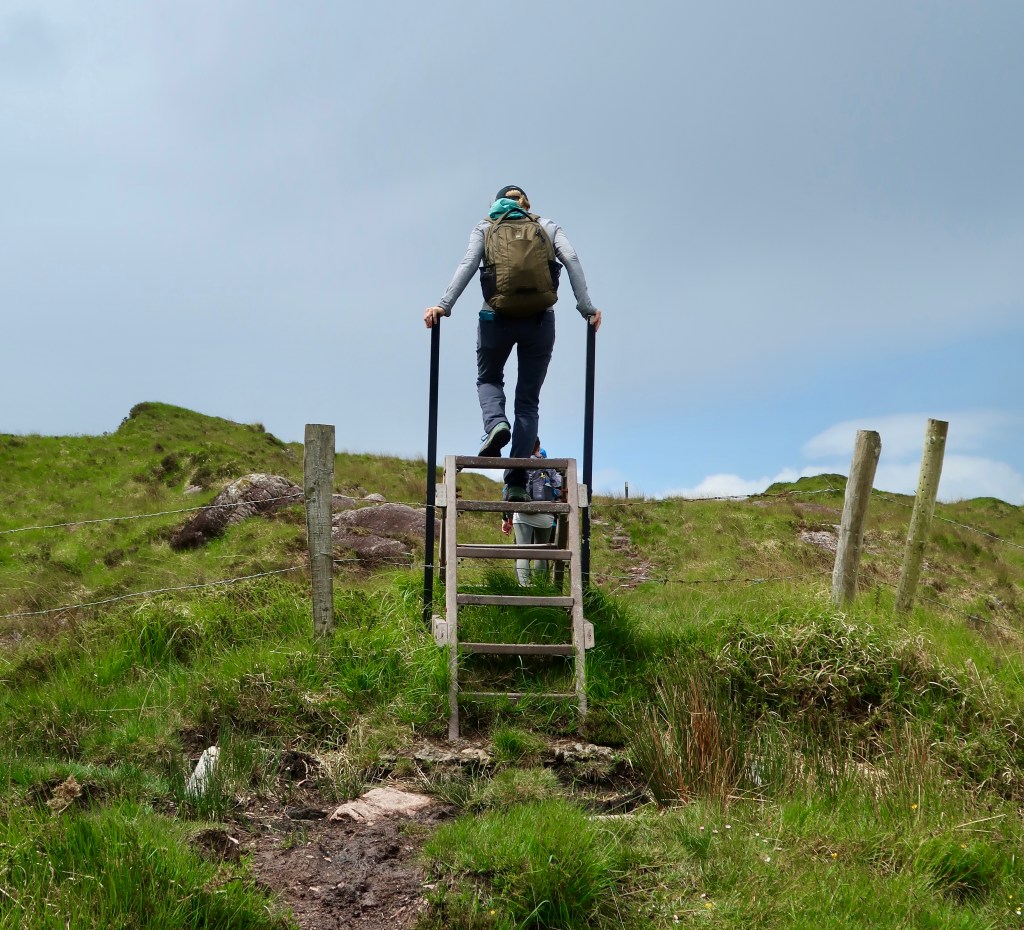 Kerry Way IE, May 2022