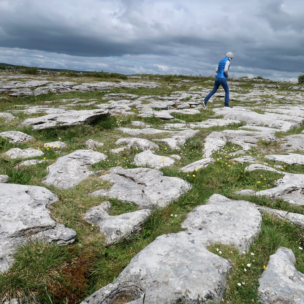 Burren IE, May 2022