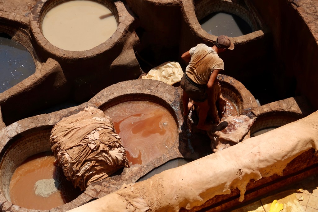Chouara Tannery, Fes, MA