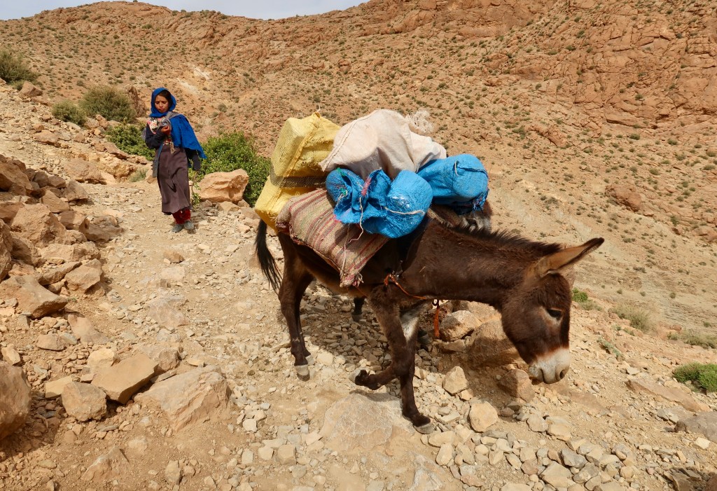 Nomad near Todra Gorge MA
