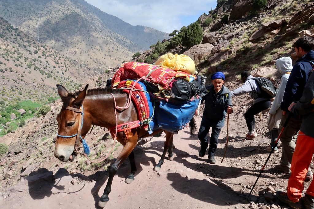 Toubal National Park MA