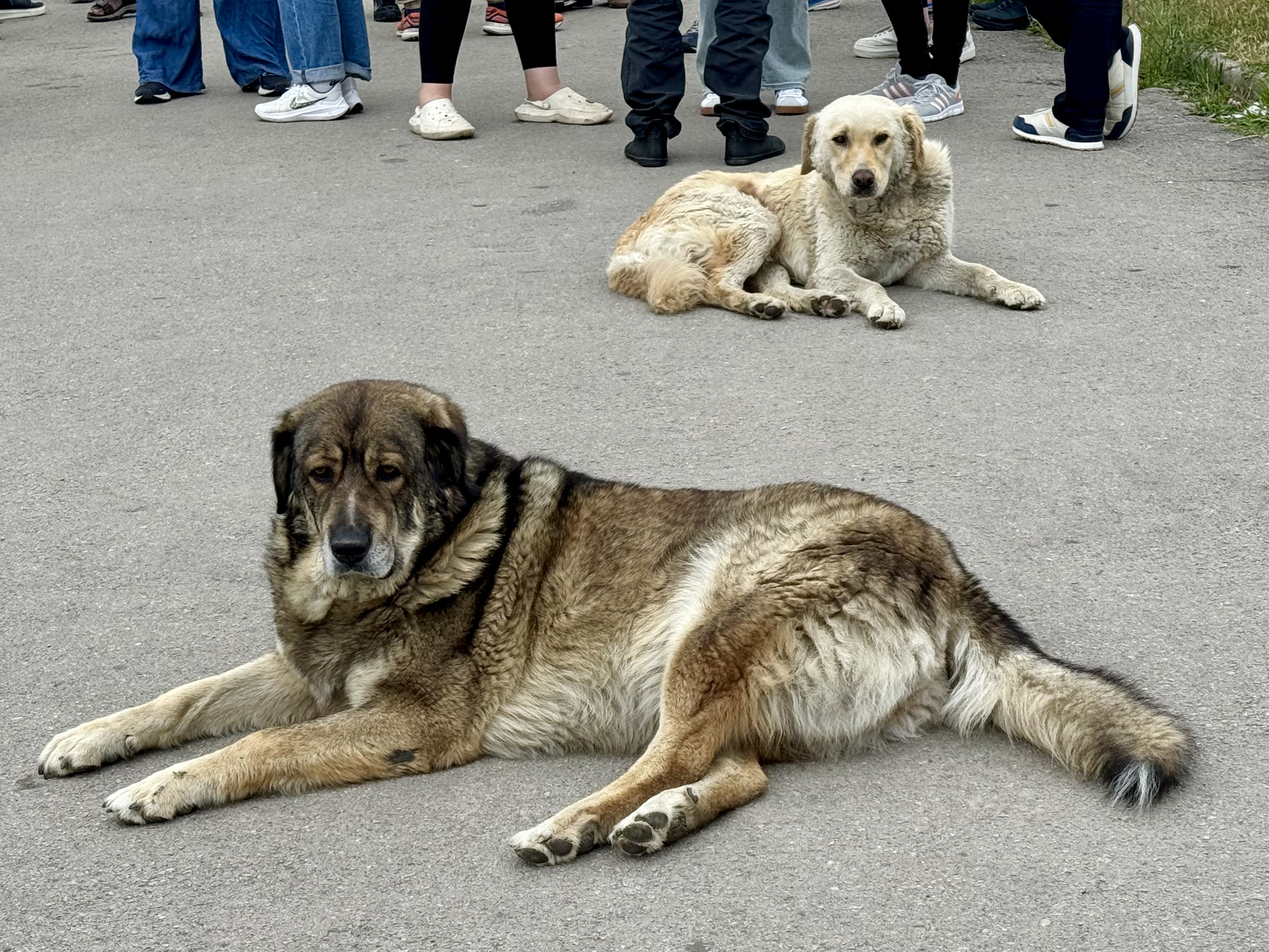 Skopje, North Macedonia